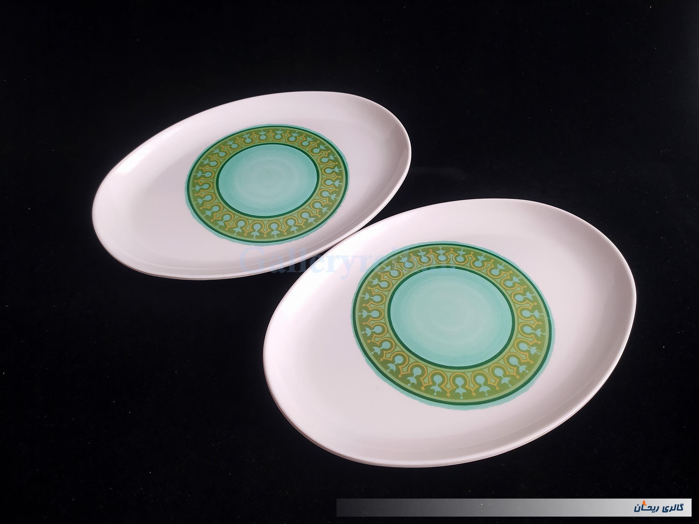 2 عدد دیس قدیمی ملامین طرح سبز 