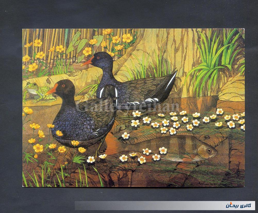 کارت پستال انتشارات وودفیلد چاپ انگلستان