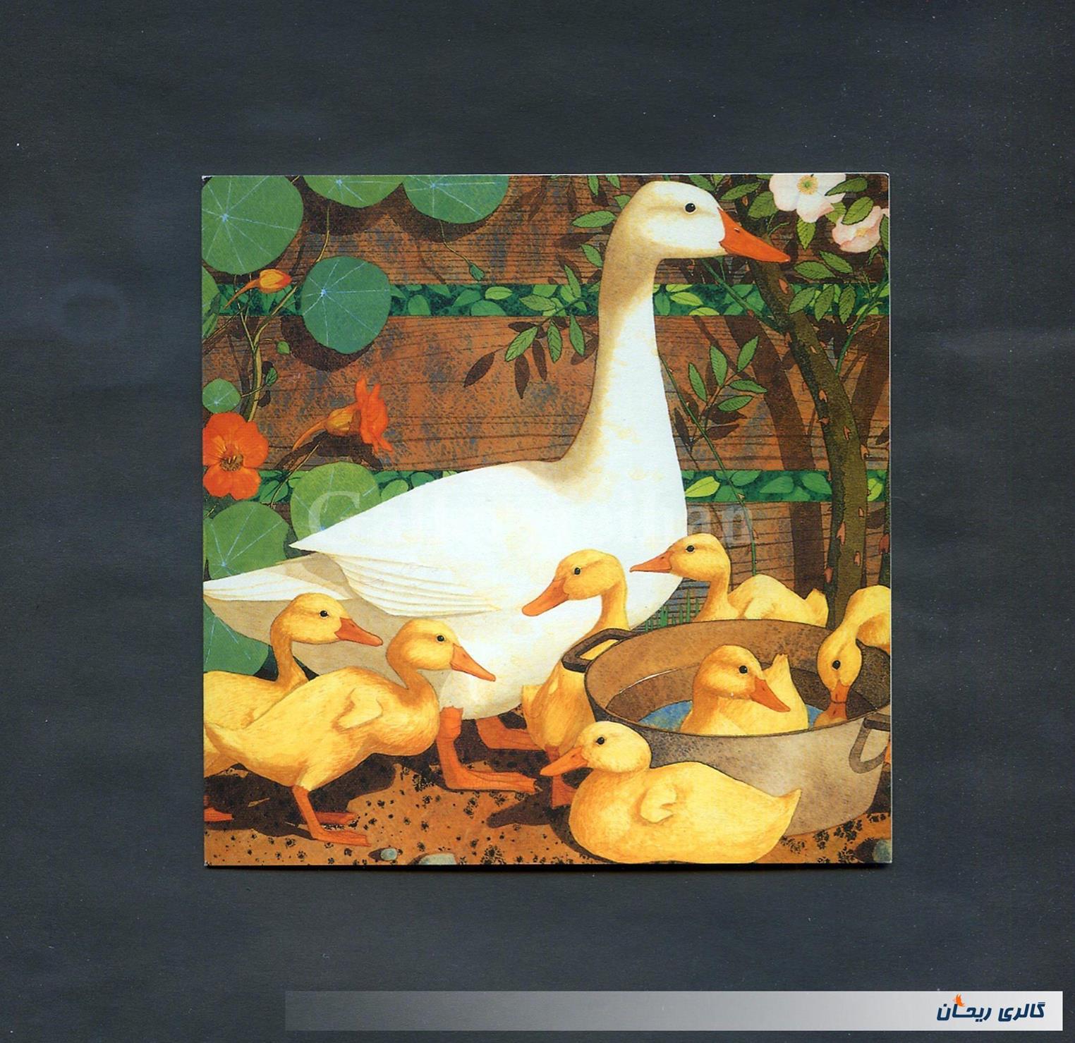 کارت پستال انتشارات وودفیلد طرح غاز 