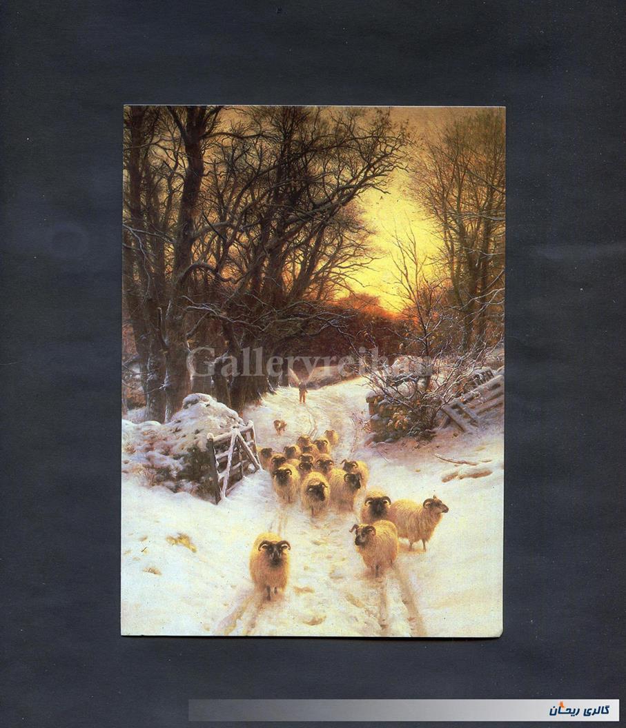 کارت پستال چاپ انگلستان گوسفندان در برف 