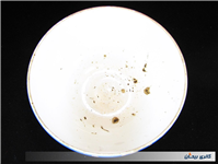 کاسه بسیار کمیاب قاجاری مهردار تزار روسیه