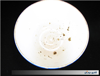 کاسه بسیار کمیاب قاجاری مهردار تزار روسیه