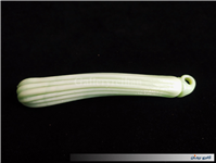 خیار دکوری بارفتن کاملا دست ساز قدیمی 