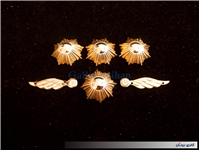 4درجه یا قپه نظامی و 2شهبال کمیاب بدون چفت