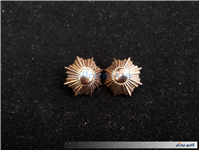 2عدد درجه یا قپه نظامی همراه با چفت 