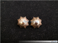 2عدد درجه یا قپه نظامی همراه با چفت 