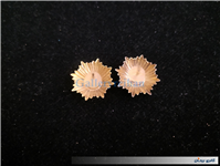 2عدد درجه یا قپه نظامی همراه با چفت 