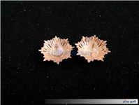 2عدد درجه یا قپه نظامی همراه با چفت 