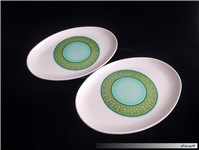 2 عدد دیس قدیمی ملامین طرح سبز 