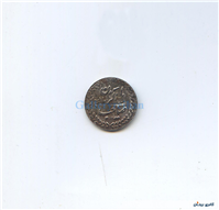 پولک یا سکه یادبود قدیمی آهنی صاحب الزمان 