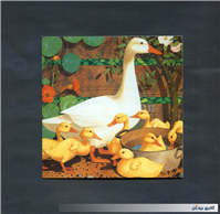 کارت پستال انتشارات وودفیلد طرح غاز 