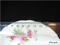 2 دیوارکوب یا نعلبکی طرح گل سرخی قدیمی 