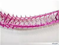 کاغذ کشی ریسه تزئین تولد نوستالژی دهه 60 