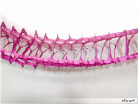 کاغذ کشی ریسه تزئین تولد نوستالژی دهه 60 