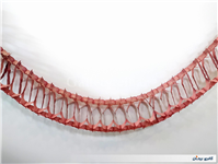 کاغذ کشی ریسه تزئین تولد نوستالژی دهه 60