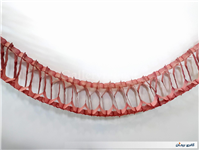 کاغذ کشی ریسه تزئین تولد نوستالژی دهه 60