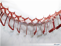 کاغذ کشی ریسه تزئین تولد نوستالژی دهه 60 