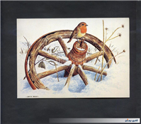 کارت پستال چاپ انگلستان طرح پرنده در برف 