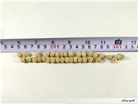 33 عدد مهره طرح دار ساخته شده از استخوان 