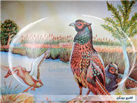 دیس قدیمی ملامین طرح قرقاول زیبا 