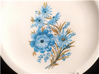 دیس قدیمی ملامین طرح گل زیبا 