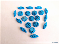 20 عدد خرمهره فیروزه ای ایرانی