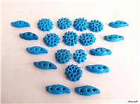 20 عدد خرمهره فیروزه ای ایرانی 