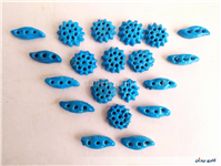 20 عدد خرمهره فیروزه ای ایرانی 