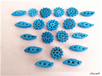 20 عدد خرمهره فیروزه ای ایرانی