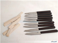 9 عدد چاقوی قدیمی STAINLESS با دسته خاص