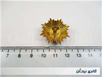 1 عدد درجه یا قپه سرهنگی قدیمی 